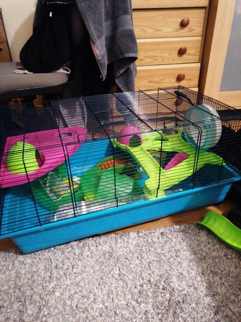 pets at home silent wheel